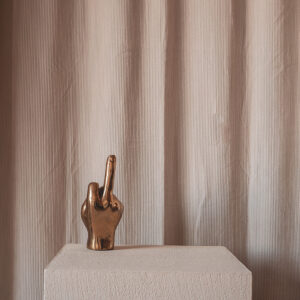 Hand 'Fuck you'